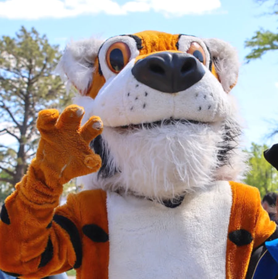 Central Christian College of Kansas Tiger mascot greeting students on campus, representing school spirit and community pride.